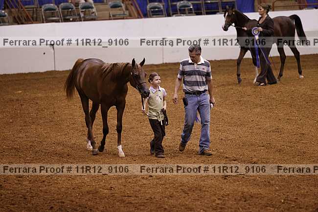 Proof Number 11r12_9106