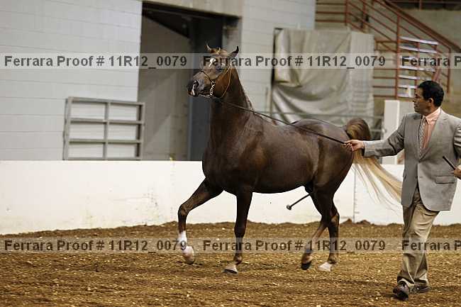 Proof Number 11r12_0079