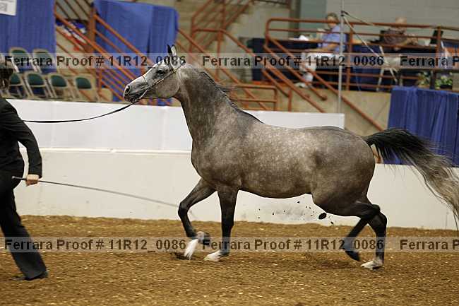 Proof Number 11r12_0086