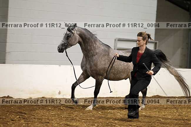 Proof Number 11r12_0094
