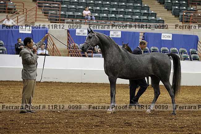 Proof Number 11r12_0099