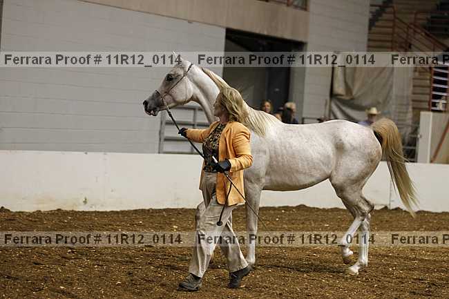 Proof Number 11r12_0114