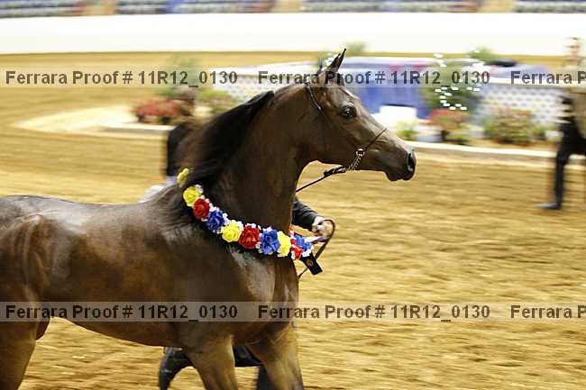 Proof Number 11r12_0130