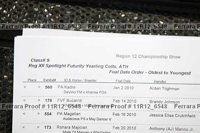 Proof Number 11r12_6548