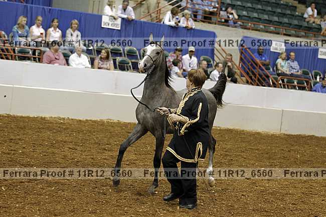 Proof Number 11r12_6560