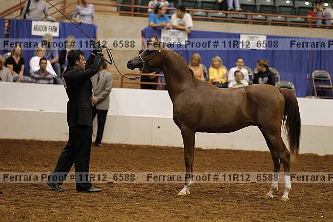 Proof Number 11r12_6588