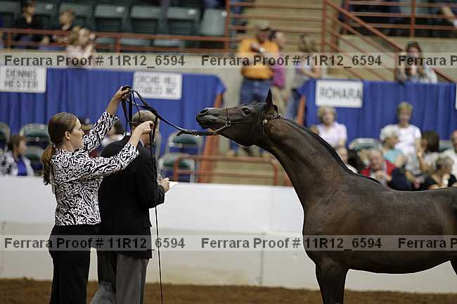 Proof Number 11r12_6594