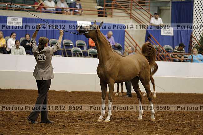 Proof Number 11r12_6599