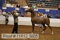 11r12_6605 thumbnail