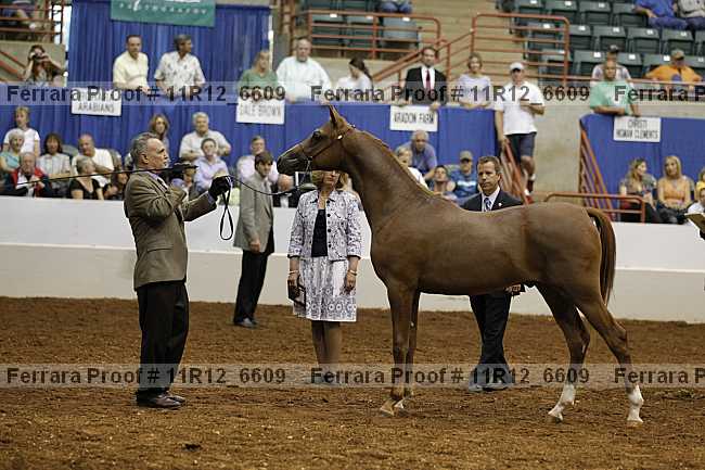 Proof Number 11r12_6609
