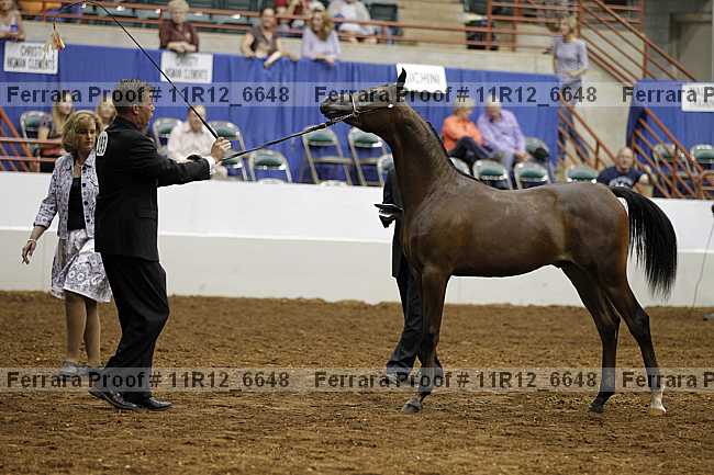 Proof Number 11r12_6648