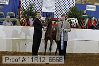 11r12_6668 thumbnail
