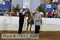 11r12_6669 thumbnail
