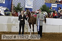 11r12_6670 thumbnail