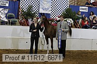 11r12_6671 thumbnail