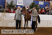 11r12_6672 thumbnail