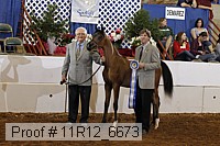 11r12_6673 thumbnail