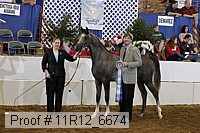 11r12_6674 thumbnail