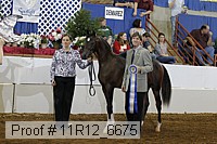 11r12_6675 thumbnail