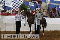 11r12_6676 thumbnail