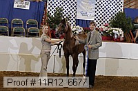11r12_6677 thumbnail