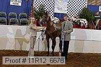 11r12_6678 thumbnail