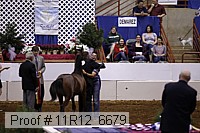 11r12_6679 thumbnail