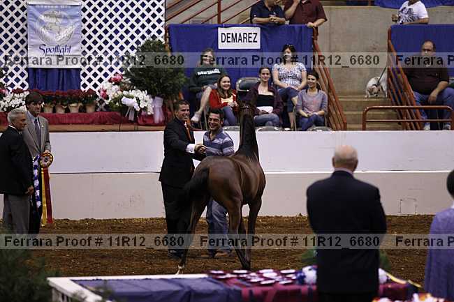 Proof Number 11r12_6680
