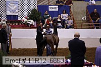 11r12_6680 thumbnail
