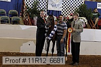 11r12_6681 thumbnail