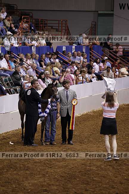 Proof Number 11r12_6683