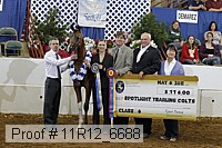 11r12_6688 thumbnail