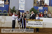 11r12_6689 thumbnail