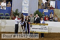 11r12_6691 thumbnail