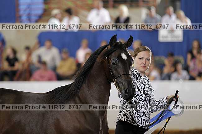 Proof Number 11r12_6707