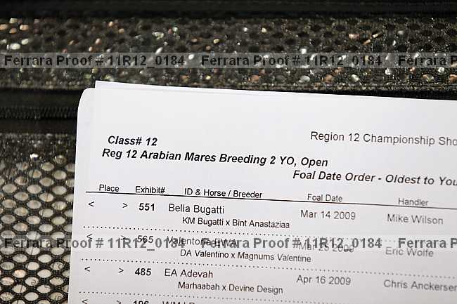 Proof Number 11r12_0184
