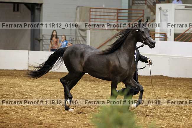 Proof Number 11r12_0190