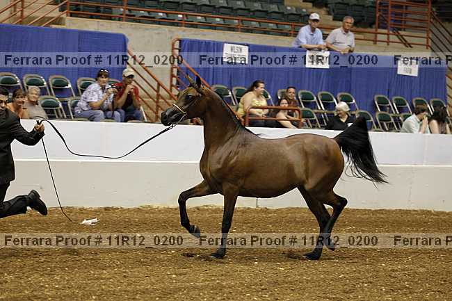 Proof Number 11r12_0200
