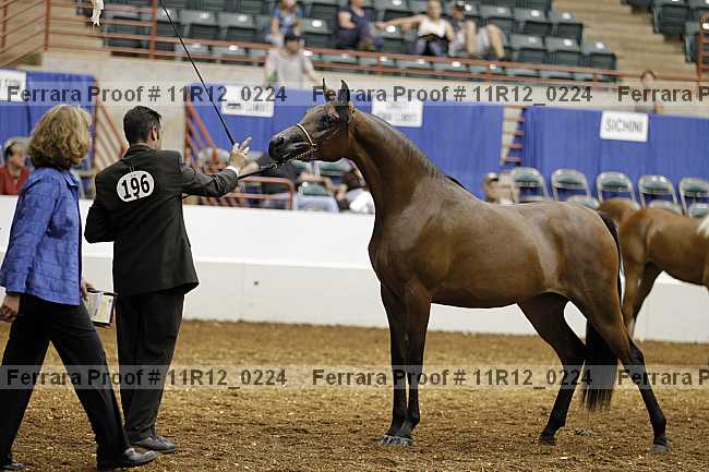 Proof Number 11r12_0224
