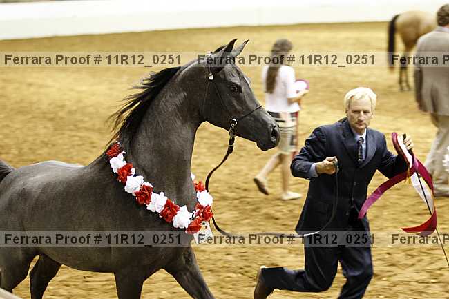 Proof Number 11r12_0251