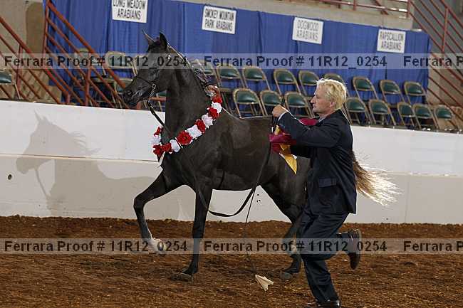 Proof Number 11r12_0254