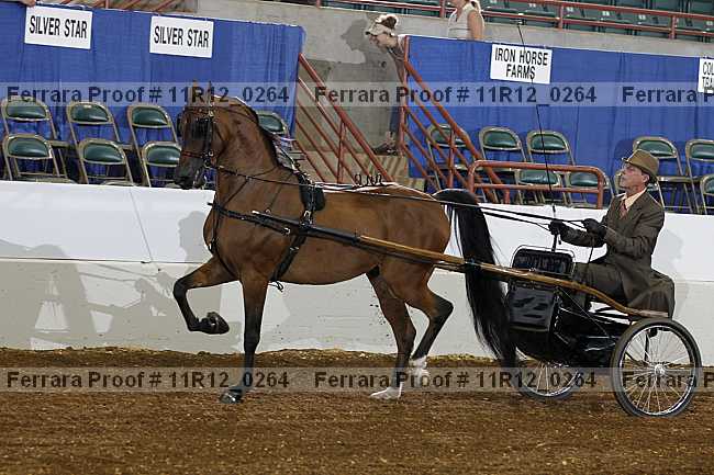 Proof Number 11r12_0264
