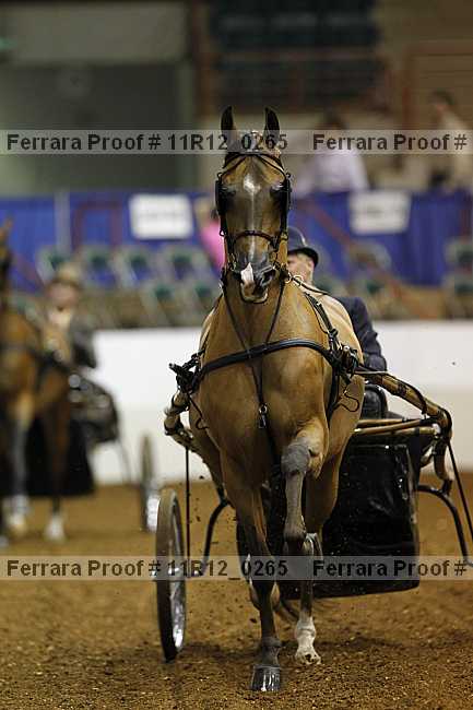 Proof Number 11r12_0265
