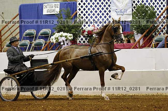 Proof Number 11r12_0281