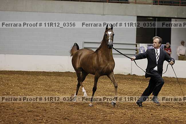 Proof Number 11r12_0356