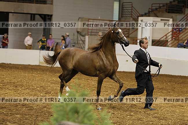 Proof Number 11r12_0357