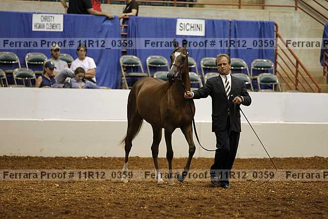 Proof Number 11r12_0359