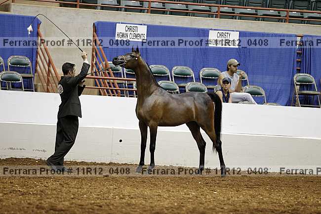 Proof Number 11r12_0408