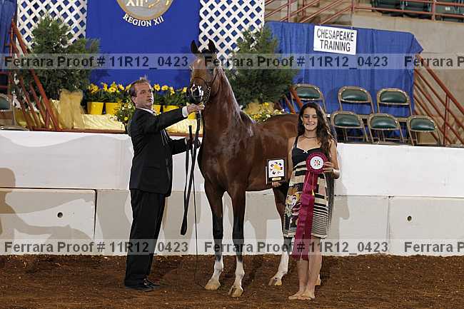 Proof Number 11r12_0423