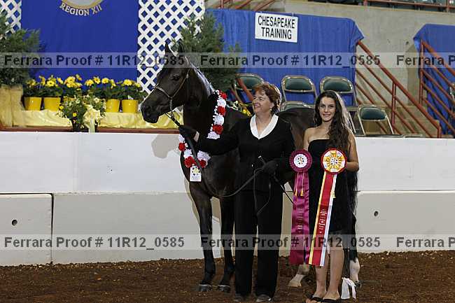 Proof Number 11r12_0585